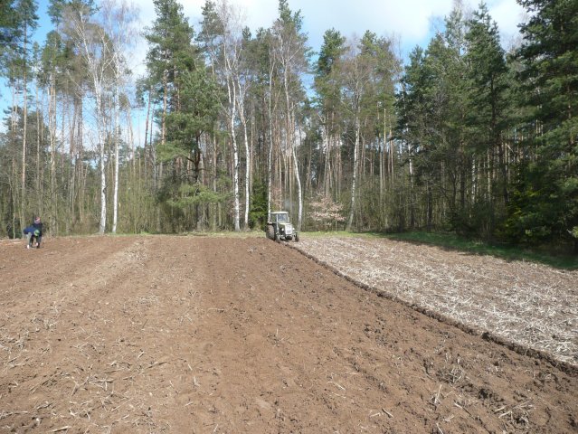 TOPINAMBUR 19.04.08